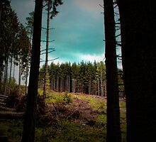 Tall Place by Greig Nicholson