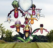 LoveBomb by Mark Quinn by Ian Coyle
