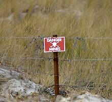 Falklands minefield by Stephen Kane