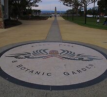 This is Kings Park! by Stephen Horton