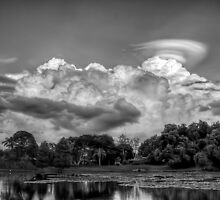 Irresistible Danger B&W by FacetEyePhoto