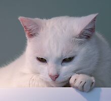 The Thinker by Sally Green