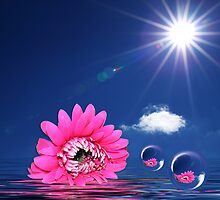 Adrift by Beverly Lussier