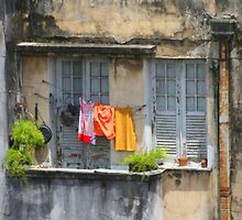 The washing line, Brazil by John Dalkin