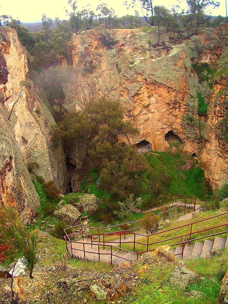 "Balaclava Gold Mine at Whroo near Rushworth" by Sharon King Redbubble