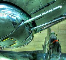 Guns at the Ready !! - HDR by Colin Williams Photography