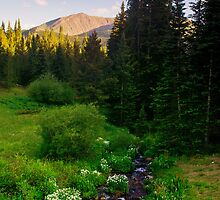 Creek Of The Evening Light by John De Bord Photography