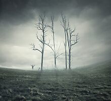 Flashes of Delight by swin