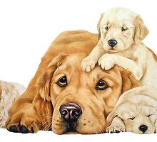 The Babysitter by Lindabloomfield
