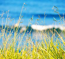 Allow, experience, and let go. by Karen Cougan