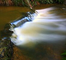 "Little Creek" by Husky