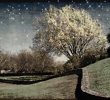 Reminiscing by Wendy J. St. Christopher