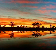Hickory water hole by donnnnnny
