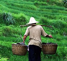 Roof Tiles and Rice Time by Chloe Beacon