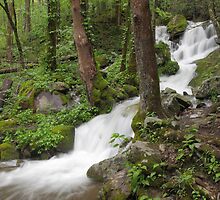 Wet Weather Cascades III by Gary L Suddath