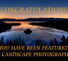 Banner Entry for Landscape Group by Justin Baer
