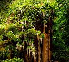 Quinta da Regaleira garden by terezadelpilar~ art & architecture