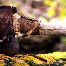 Woodsmen Past by Melody Ricketts