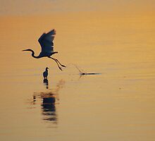 Overcoming Obstacles by Karl F Davis
