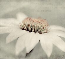 In heaven by Jacque Gates