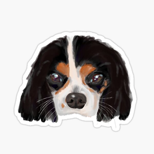 Portrait Of Gemma The Cavalier Sticker For Sale By Oh Hecko Redbubble