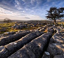 Limestone Country, Ribblesdale - The Yorkshire Dales by Dave Lawrance