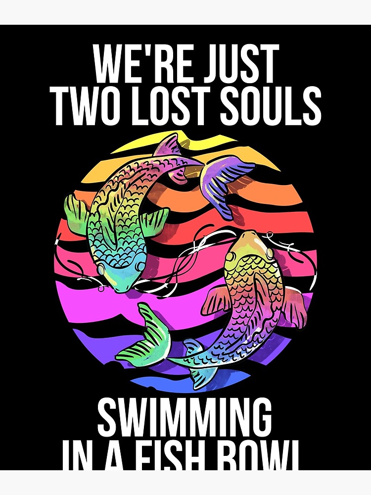 We Re Pink Just Two Lost Souls Swimming In A Fish Bowl Floyd