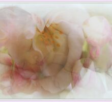 Now I Lay Me.... by Sharon House