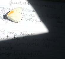 "poetry in flight" by marella