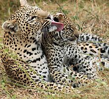 Loving mom! by jozi1