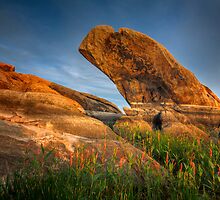 Stand Up by Bob Larson