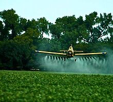 A crop duster in Kansas by Ann Reece