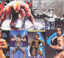 Battle of the Sexes by Andrew Donegan aka Piebald77