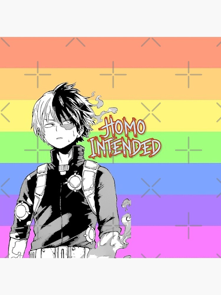 My Hero Academia Todoroki Gay Pride Flag Canvas Print By Queerwriter