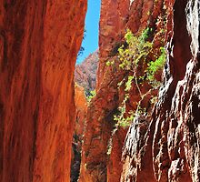 The Light Show Ends - Standley Chasm by mspfoto
