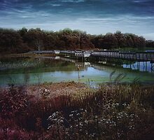 Swamp Bridge by Judi Taylor