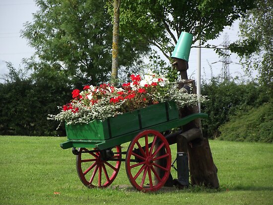 flower barrow