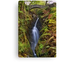 Aira Force - The Lake District Canvas Print