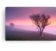 Misty sunrise, The Helm - Cumbria Canvas Print