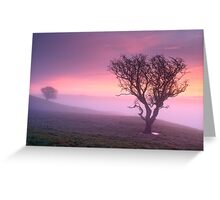 Misty sunrise, The Helm - Cumbria Greeting Card