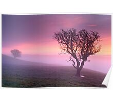 Misty sunrise, The Helm - Cumbria Poster