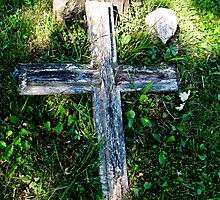Cross Over by Lyndy