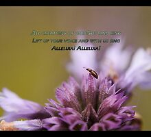All Creatures Of Our God And King by The Jonathan Sloat