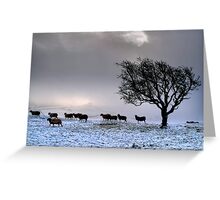 In search of food... Greeting Card