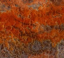 Embers by Alixzandra
