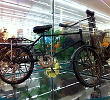 Antique Bike needs an Upgrade by David Owens
