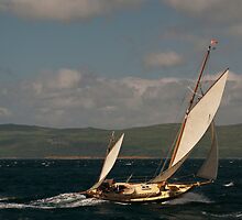 Away she goes by Susan P Watkins