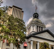Florida State Capitol - Crop by Alexandru Barabas