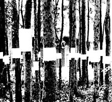 Silent Protest II by limerick