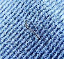 Guess the bug and fabric! by Rick Playle